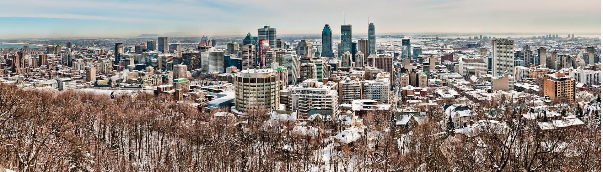 CONDOS, APARTMENTS, MULTIPLEXES AND HOMES FOR SALE Royal LePage Tendance